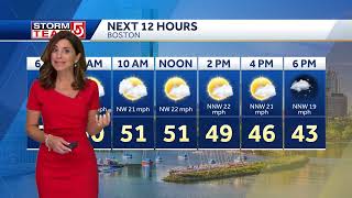 Cindy Fitzgibbon 11122024 WCVB 5 ABC [upl. by Nyladnewg]