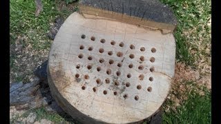 Building a Orchard Mason Bee House [upl. by Ziegler]