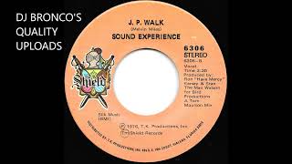 SOUND EXPERIENCE  JP WALK [upl. by Animsaj]