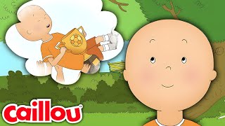 Caillou le Footballeur  Les Nouvelles Aventures de Caillou  S3 É25 [upl. by Paton]