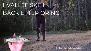 Öringsjakt i liten bäck i Hofors [upl. by Trinette]