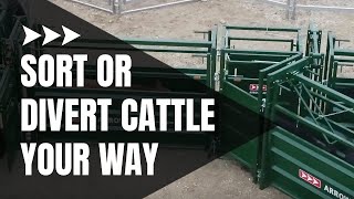 Cattle Sorting Alley  One and TwoWay Cattle Sorting  Showcase [upl. by Qerat]