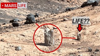 NASA Mars Rover Perseverance Sent Shocking 360° Footage of Mars Life Curiosity Rover Mars in 4K [upl. by Eenimod]