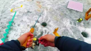 Ice fishing for Lake Whitefish on Banks Lake [upl. by Barbur]