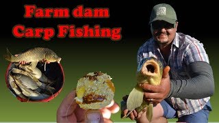 Farm Dam Carp Fishing [upl. by Maridel]