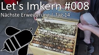 Lets Imkern  008  Nächste Erweiterung  Tag 14 [upl. by Ordnassela]