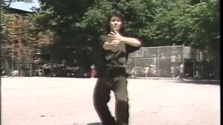 Guang Ping Yang Tai Chi Chuan  64 movement [upl. by Enilaf75]