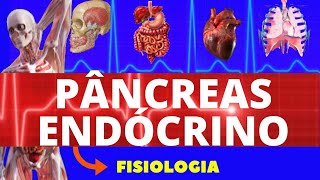 FISIOLOGIA DO PÂNCREAS ENDÓCRINO FISIOLOGIA DE GUYTON  INSULINA E GLUCAGON  FISIOLOGIA HUMANA [upl. by Akirdnas]