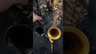 Soprano vs Alto Sax saxophone soprano alto size music instrument practice shiny tiny [upl. by Nnyled302]