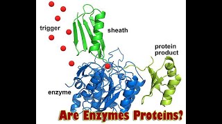 New Research Claims Most Life on Earth is Dormantjust waiting for a Signal to Activate an enzyme [upl. by Ahsilav311]