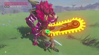 Hardest Calamity Lynel  Botw Relics of the Past [upl. by Teerell]