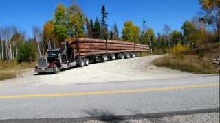 Peterbilt 359 Classic big smoke Logging [upl. by Samale]