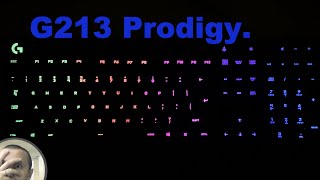 Logitech G213 Prodigy Now and Three Months Later [upl. by Ahtilat]