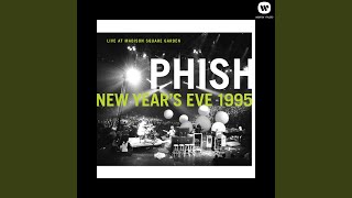 Mikes Song Live at Madison Square Garden New Years Eve 1995 [upl. by Woodberry]