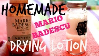 DIY Mario Badescu Drying Lotion [upl. by Mok]