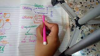 BACTERIAL CONJUNCTIVITIS part 1 MUCOPURULENT CONJUNCTIVITIS in easiest way [upl. by Edgardo]