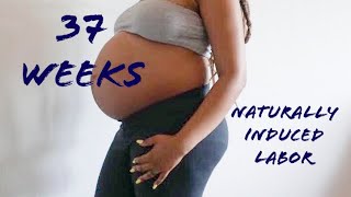 Induced Labor  37 Weeks Pregnant Vlog  Midwives Brew [upl. by Chevy]