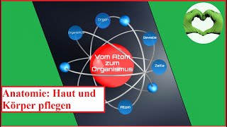 Vom Atom zum Organismus [upl. by Bekha699]