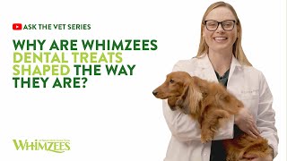 Ask The Vet Series 3  Why Are WHIMZEES® Dental Treats Shaped The Way They Are [upl. by Rae]