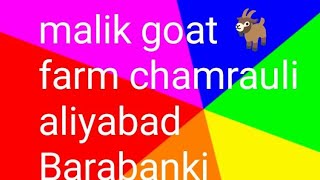 niyamat Ganj Bakri bajar jila Barabanki Uttar Pradesh [upl. by Nywde]