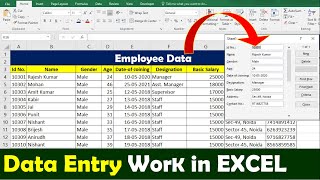 Data Entry using Form in Microsoft Excel  Data Entry in Excel dataentryinexcel [upl. by Aleunamme]