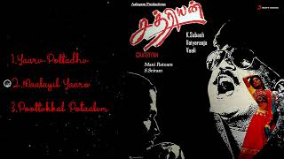 Chatriyan Tamil Jukebox  Vijayakanth Bhanupriya  Ilaiyaraaja [upl. by Lin]