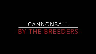 The Breeders  Cannonball 1993 Improved Video Lyrics [upl. by Isyad]