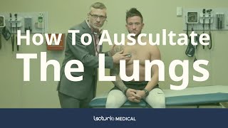 How To Auscultate The Lungs Differentiating Breath Sounds  Physical Examination [upl. by Emmott]