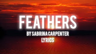 Sabrina carpenter  Feathers lyrics [upl. by Maurreen]