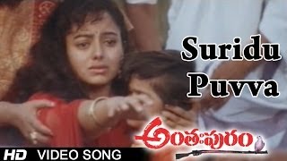 Anthapuram Movie  Suridu Puvva Video Song  Sai Kumar Jagapathi Babu Soundarya [upl. by Anemolif115]