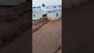 Torrential rains caused flooding of streets in Trabzon Turkey on September 20 2024 [upl. by Lehcim917]