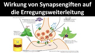 Wirkweise von Synapsengiften  Nervengiften auf die Erregungsweiterleitung Neurobiologie 55 [upl. by Aicnetroh572]