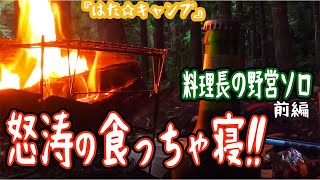 第一野営地ソロキャンプ！ いっぱい食べてのんびり二泊三日！ in 高知県『はた☆キャンプ』 [upl. by Bainter857]