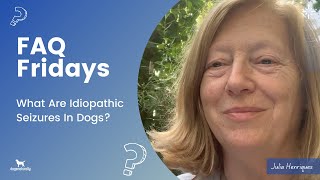 What Are Idiopathic Seizures In Dogs [upl. by Acinoda]