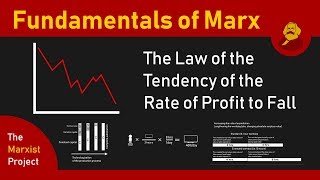 Fundamentals of Marx Falling Profit Rates LTRPF [upl. by Ojillek786]