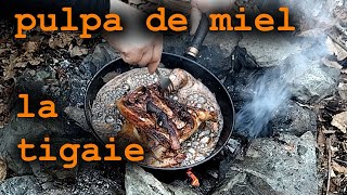 miel la tigaie la padurebushcraft cooking [upl. by Saber]