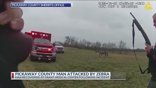 Zebra bites man’s arm in Pickaway County before being put down [upl. by Enieledam]