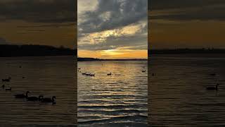 Sunrise at White rock beach nature whiterock pier ducks [upl. by Veal]