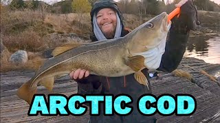 Surf casting in arctic Norway [upl. by Nicholle]