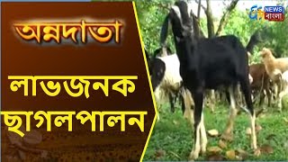 লাভজনক ছাগলপালন  ANNADATA  7th November 2017  ETV NEWS BANGLA [upl. by Ydnelg]