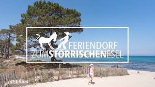 Arbeite und lebe auf der Trauminsel Korsika  Im Feriendorf zum Störrischen Esel Deutsch [upl. by Noreen]