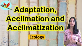 Adaptation Acclimatization and Acclimation I Ecology I CSIR NET I GATE I NEET I IITJAM I GATB [upl. by Nossaj542]