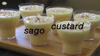 Sago custard recipe [upl. by Livia]