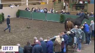 Cavan Equestrian Center Sale [upl. by Babs]