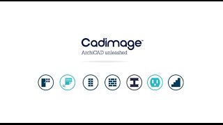 Introduction to the Cadimage Objective Tool [upl. by Auqenes]