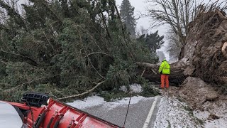 Watch Live Freezing temps power outages and downed trees strike across Oregon [upl. by Gerkman]