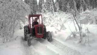 Massey Ferguson 35 pulling log [upl. by Aroved868]