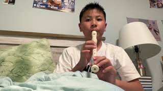 Recorder karate yellow belt gently sleep [upl. by Haimarej]