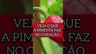 A PIMENTA FAZ ISSO NO SEU CORAÇÃO saude alimentacaosaudavel coração [upl. by Libna]