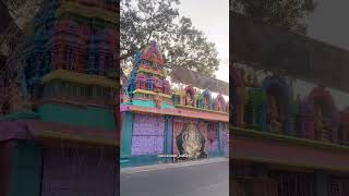 Vinayaka Temple ytshorts trending temple vinayaka ganesha spirituality vlogs dailyvlogs [upl. by Rhona707]